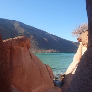 Meet your Posher, Jeanne